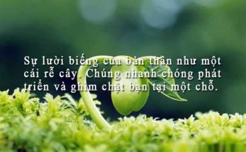 Stt hay về cuộc sống, những câu nói ý nghĩa về cuộc sống