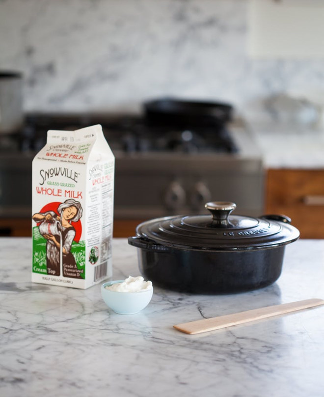 Cách làm sữa chua bằng sữa ông thọ và sữa tươi tại nhà trong 15 phút !